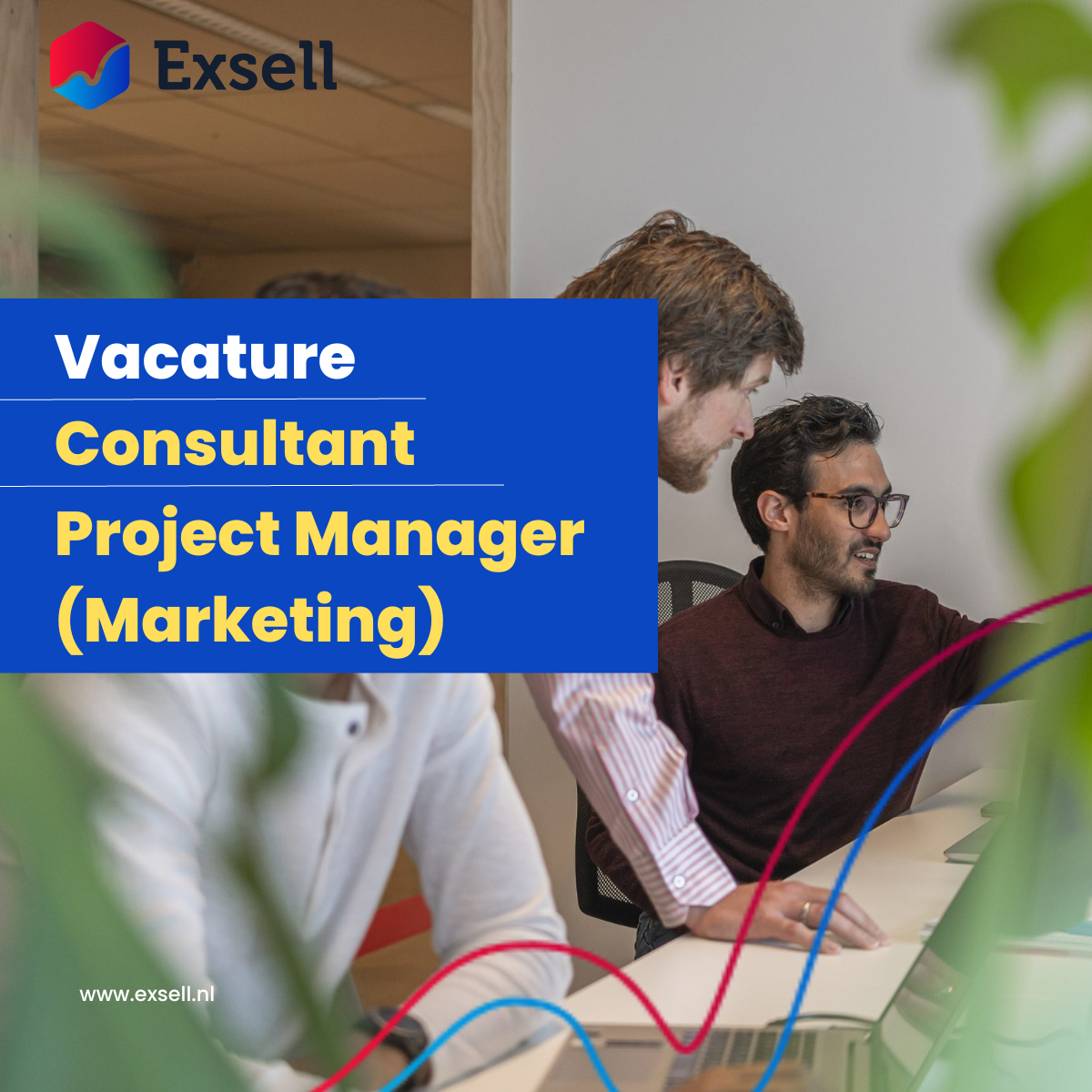 Consultant Project Manager (Marketing)